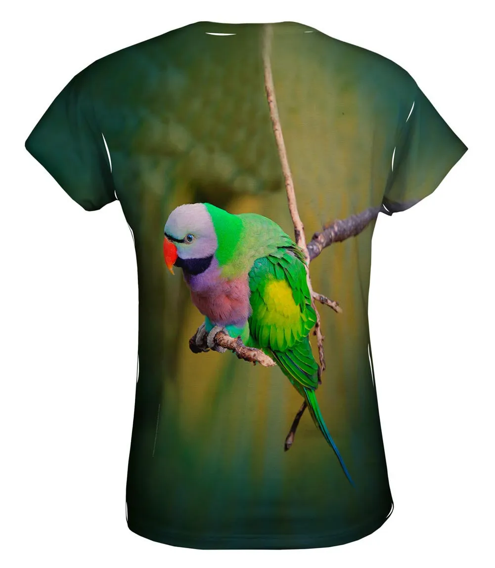 Colorful Derbyan Parakeet