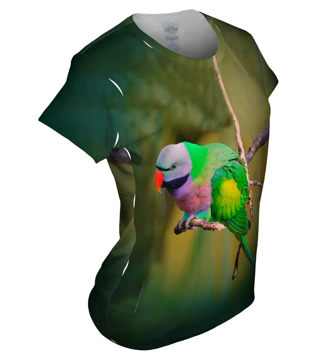 Colorful Derbyan Parakeet