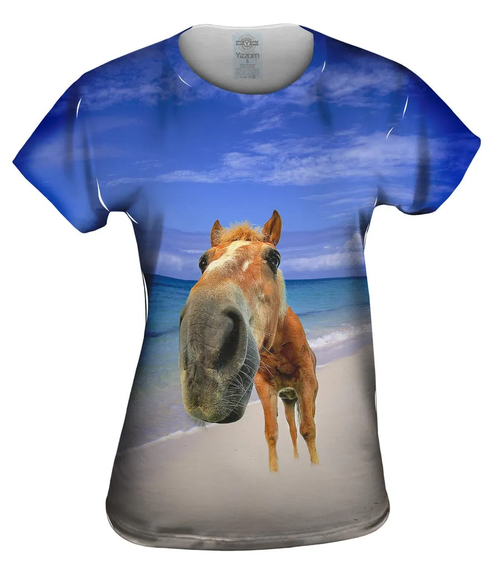 Horse Beach Snout