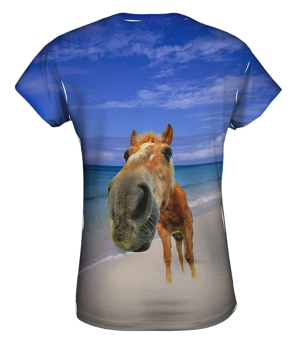 Horse Beach Snout