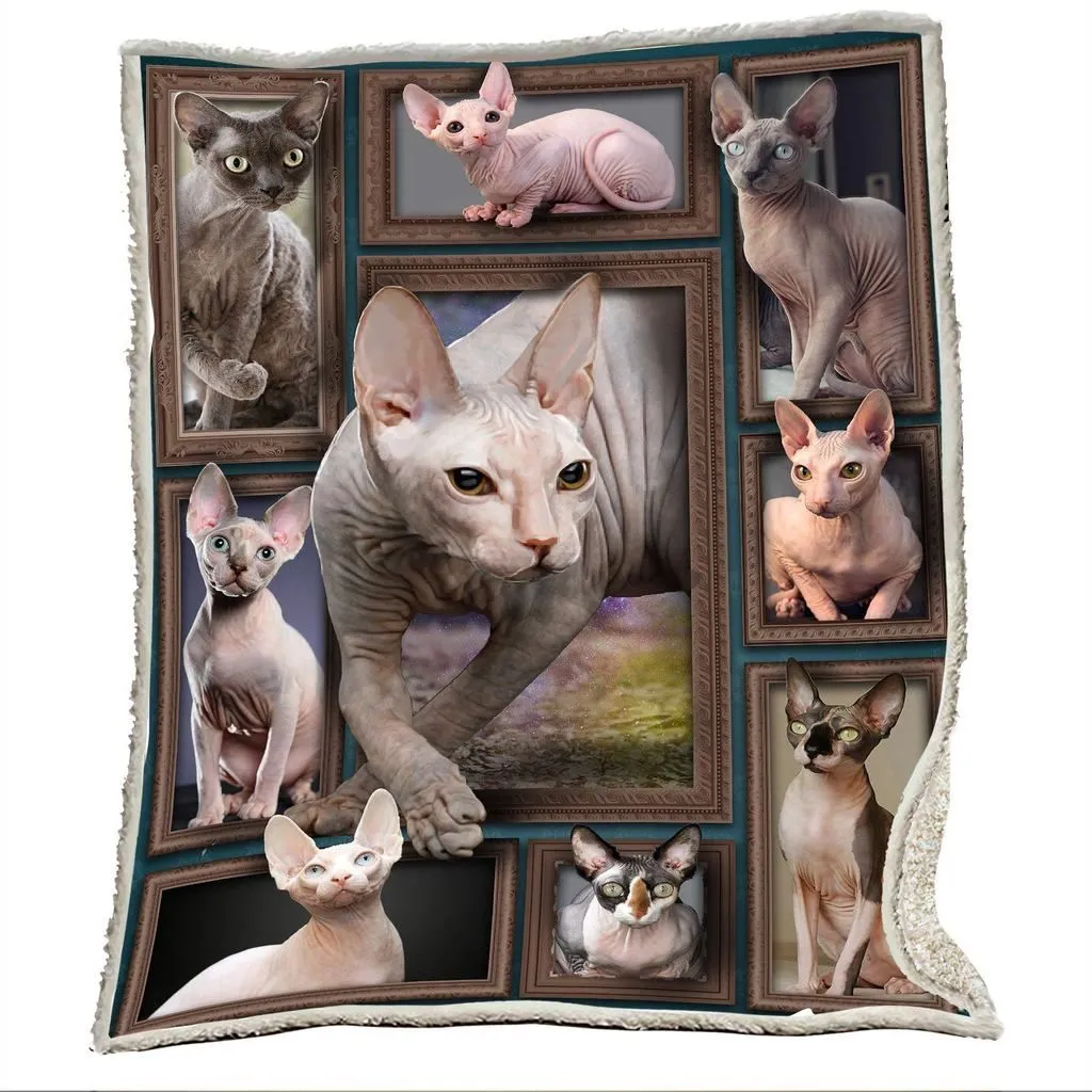 Sphynx Chat, Chat sans Poils, Cadeau Passion Chat Sphynx - PCCHAT002